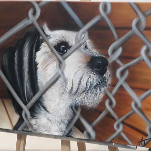 animal shelter