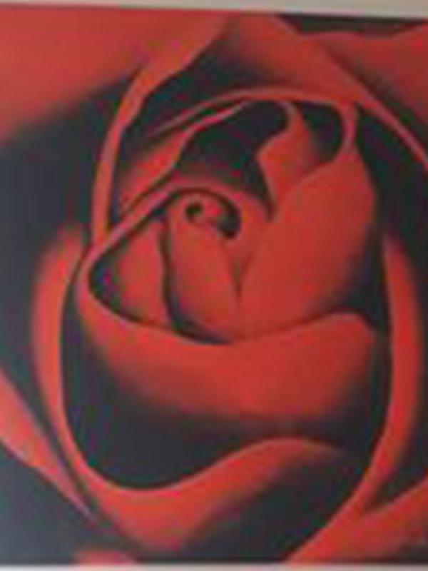 rose